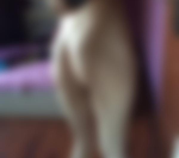 Facilisexe, er en god pik med en flot fyr i enden for meget at bede om? I Aarhus